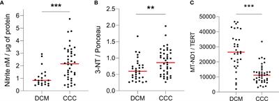 Co-Exposure of Cardiomyocytes to IFN-γ and TNF-α Induces Mitochondrial Dysfunction and Nitro-Oxidative Stress: Implications for the Pathogenesis of Chronic Chagas Disease Cardiomyopathy